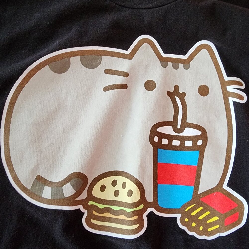 Pusheen T Shirt Womens DJ Cat Size Small